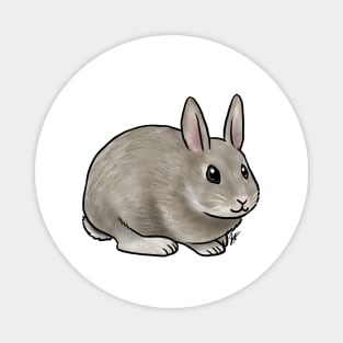 Small Mammal - Rabbit - Netherland Dwarf Magnet